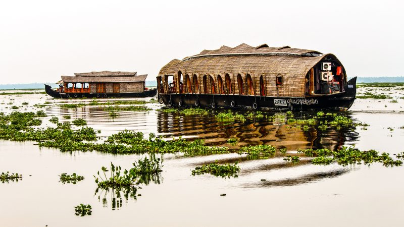 Experience the magic of Kerala with our Cochin-Alleppey tour. Immerse in culture, explore history, and unwind in the tranquil backwaters - euppy