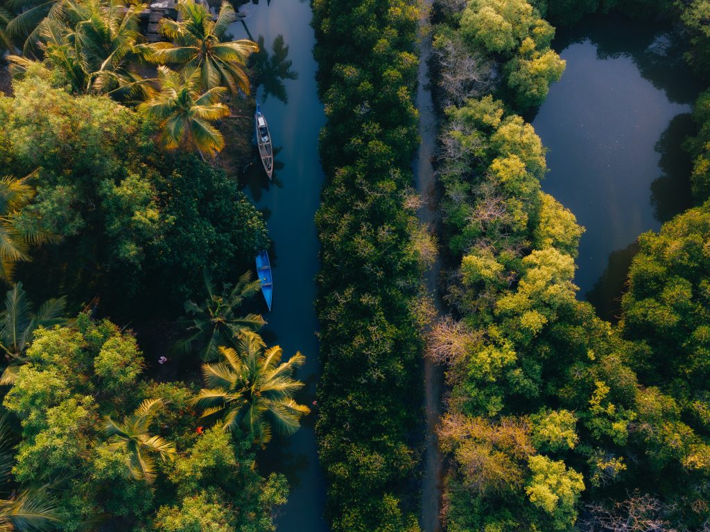 Ashtamudi Lake & Munroe Island: Kerala's serene duo beckons. Nature's poetry unfolds in every ripple - euppy