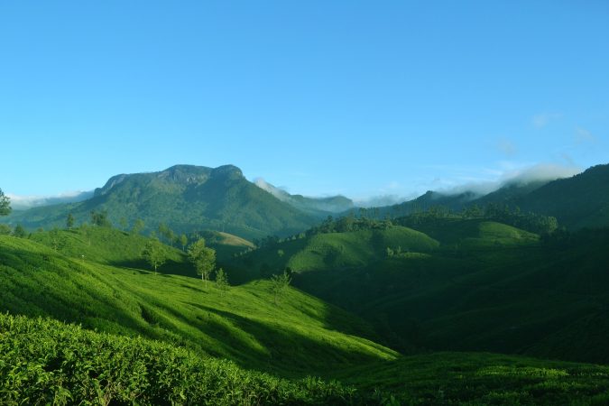 The lush green landscape of Munnar Mountain, nestled amidst tranquil surroundings, offers a serene retreat into nature's embrace - euppy