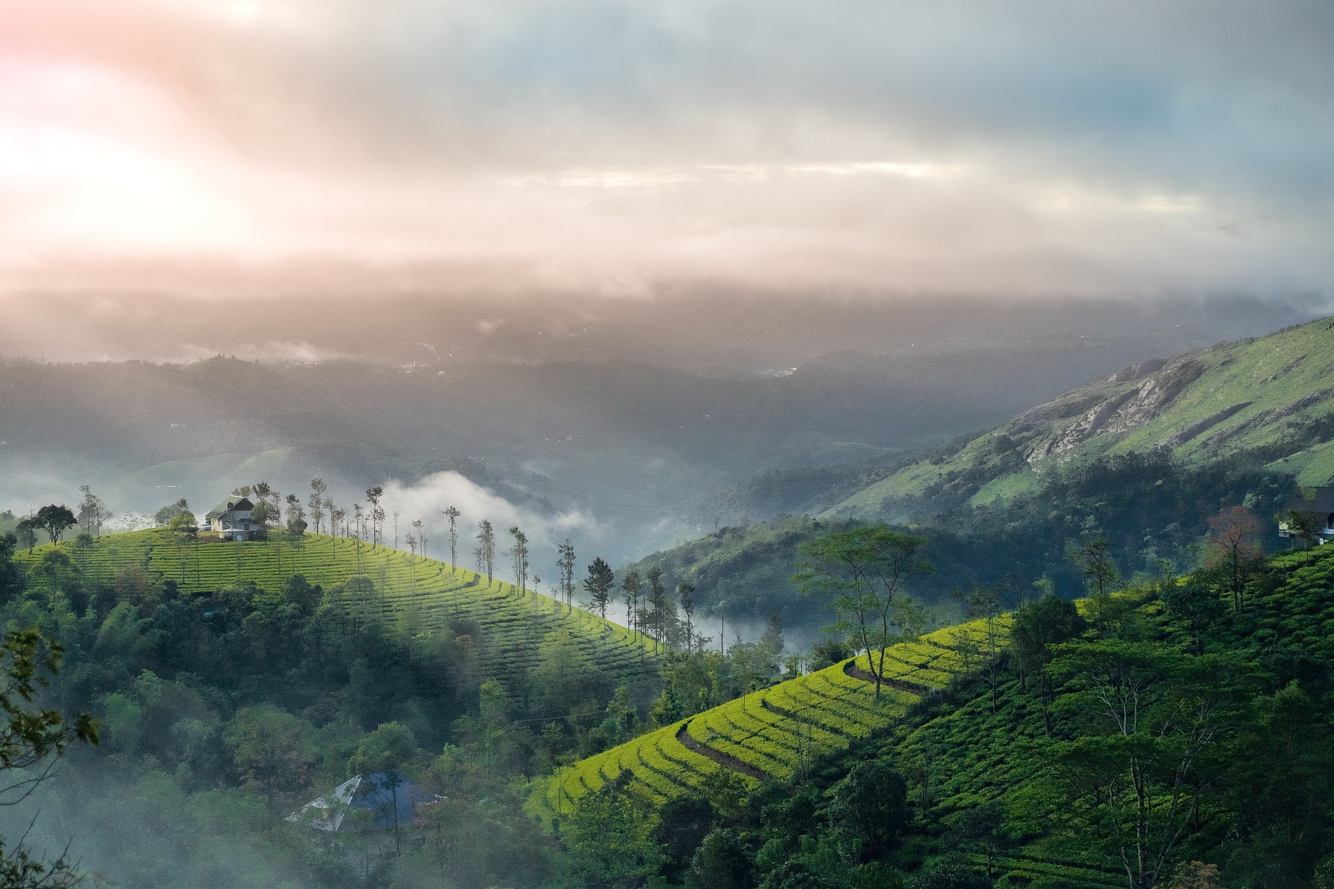 Stunning aerial view of Kerala's diverse landscapes, showcasing lush greenery, serene backwaters, and vibrant culture from above - euppy